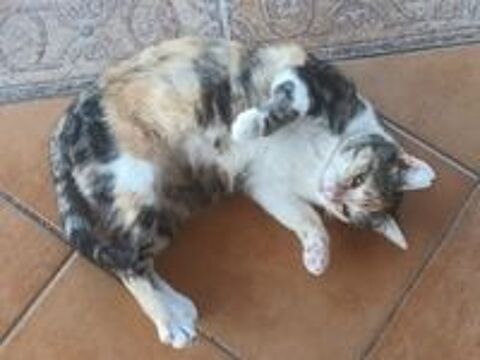   CLOE 