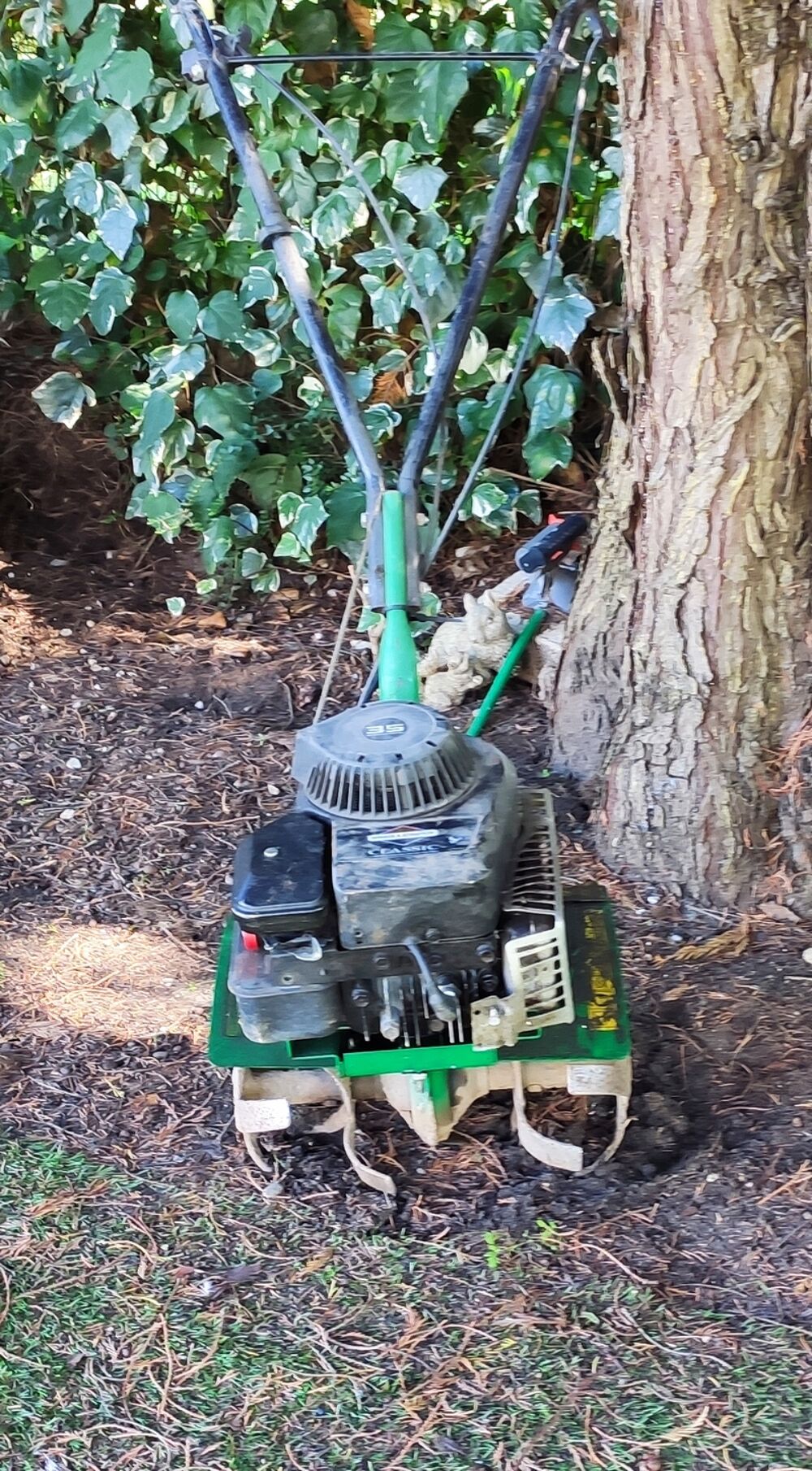 Motobineuse thermique Jardin