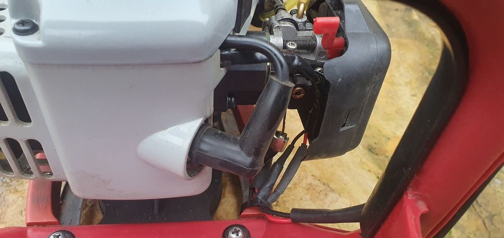Taille haies thermique Bricolage