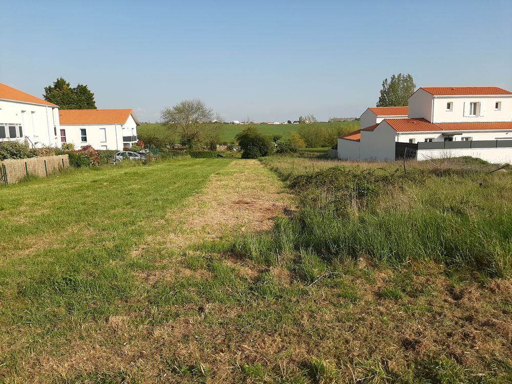 Vente Terrain TERRAIN  DE 1790 M2 à ROYAN Royan