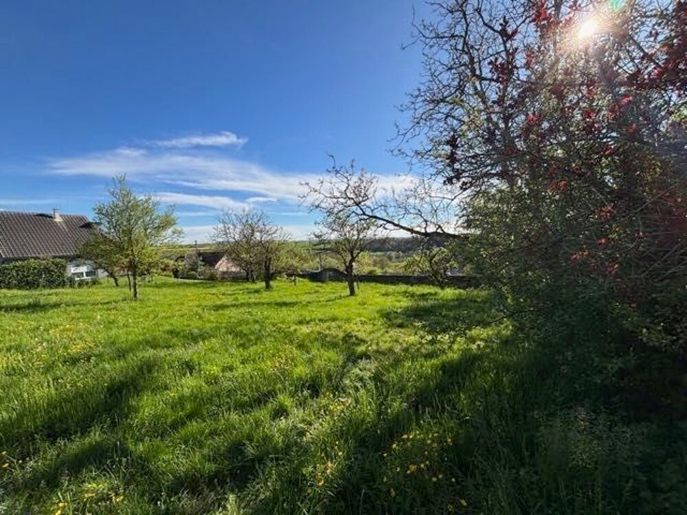 Vente Terrain Terrain constructible 1 478 m² €