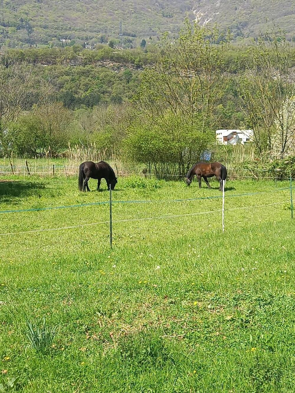   Recherche terrains secteur Varces / St Paul de Varces 38
