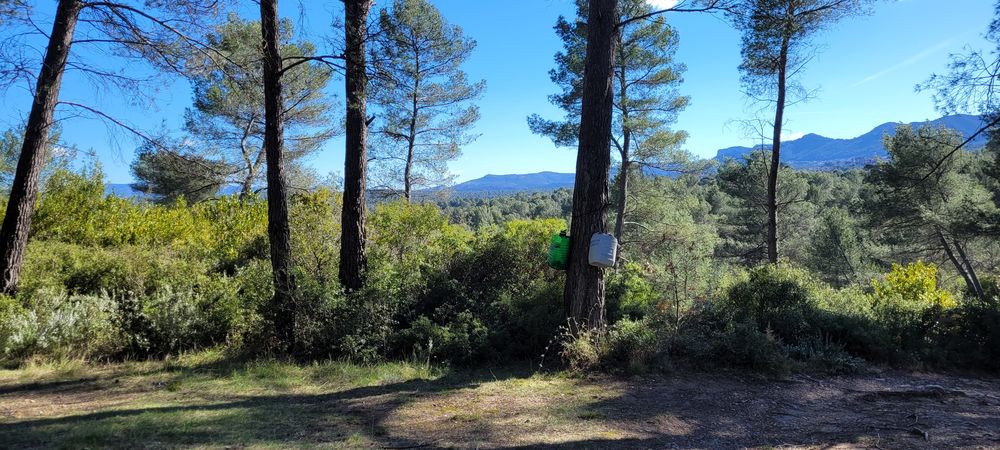 Vente Terrain TERRAIN NON CONSCRUCTIBLE BOISE Fuveau