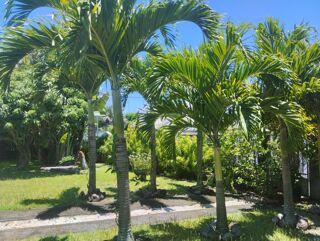  Villa � vendre 5 pi�ces 110 m�