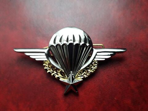 brevet parachutiste - 10 Palaja (11)