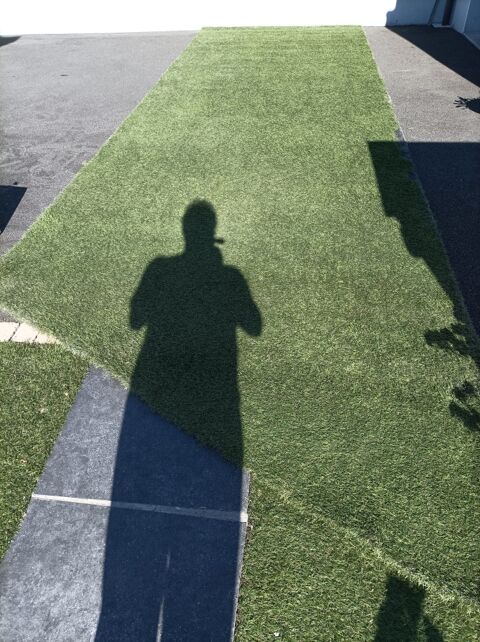 pelouse synthetique de 5.60 x 2 m 120 Ch�telaillon-Plage (17)