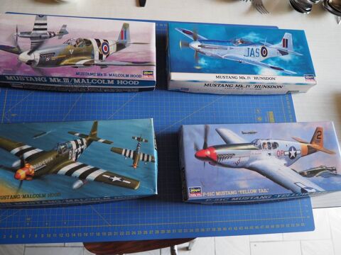 Maquettes P-51 hasegawa 15 Blanzat (63)