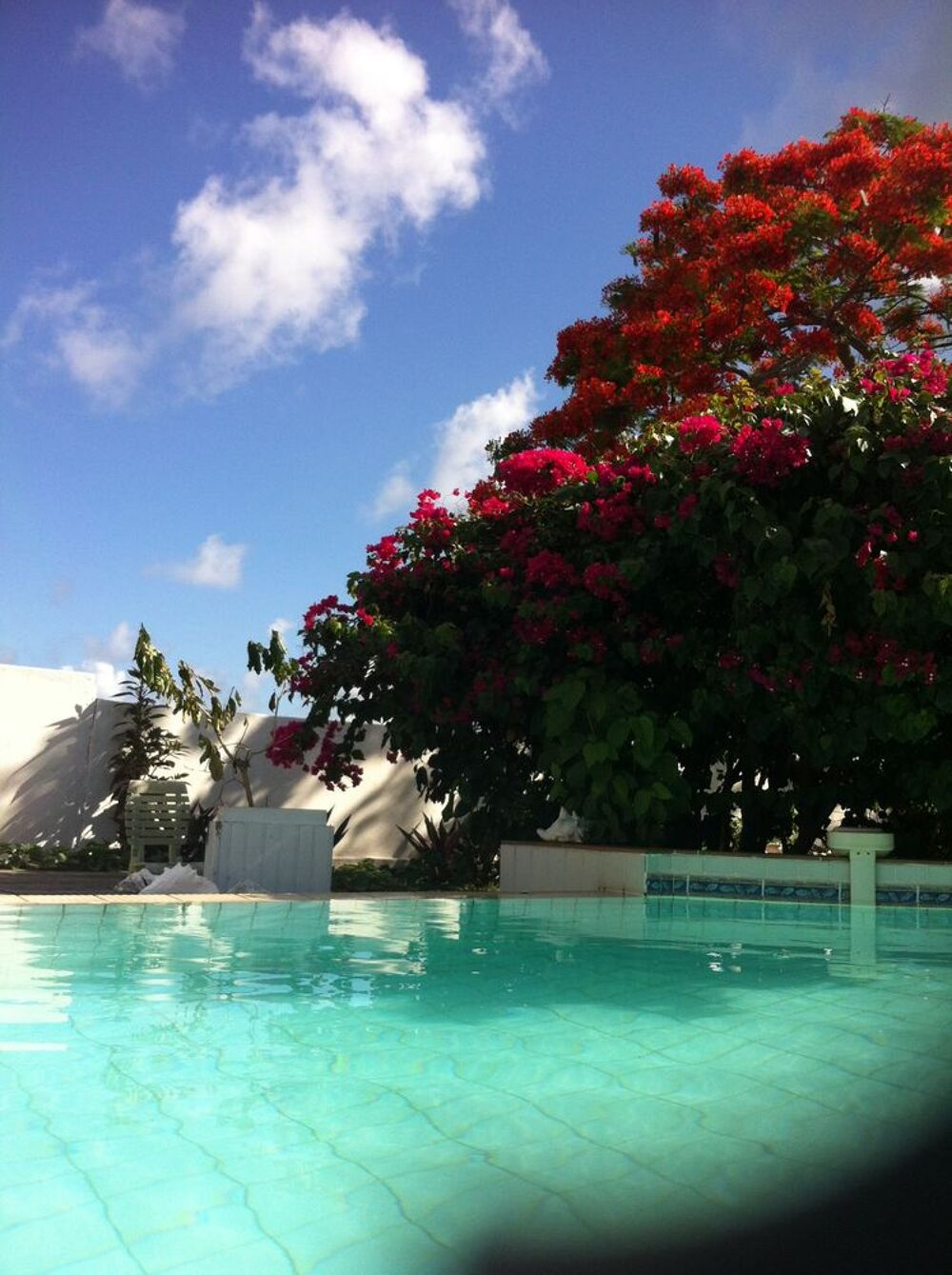 Location Appartement F3 TB vue mer piscine, terrasse Saint-françois
