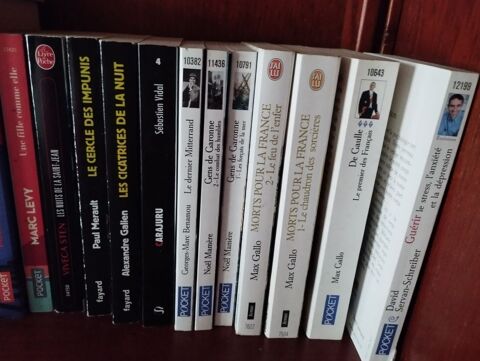 Livre poche 1 Fonsorbes (31)