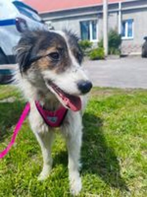   MARILYN SE TROUVE DANS UN REFUGE EN UKRAINE (RESERVEE) 
