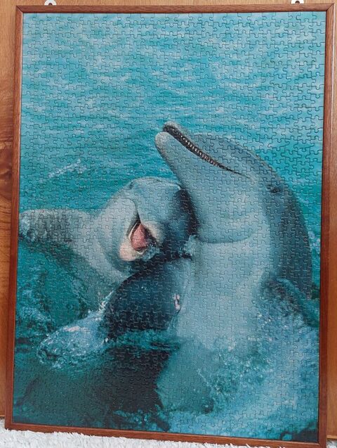 Puzzle : Dauphins 
Encadré sur un support en bois
Thionville (57)