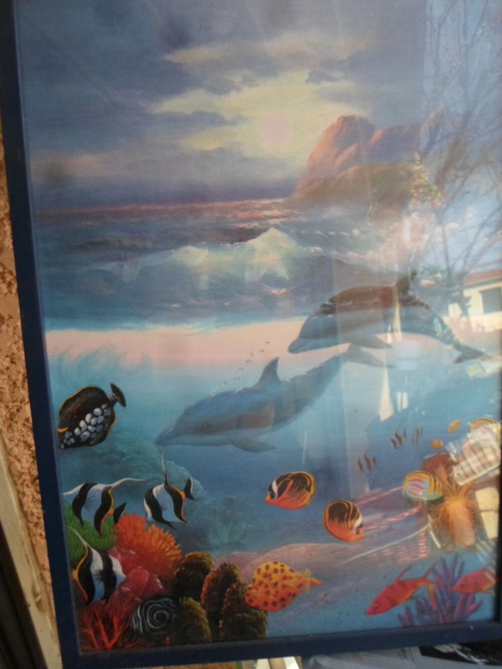 tableau dauphin 37x52 encadre sous verre Décoration