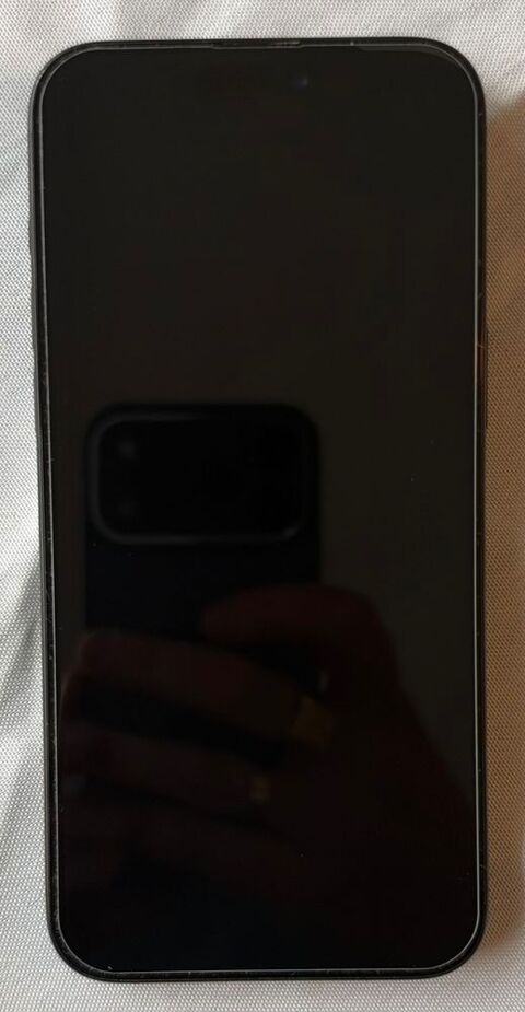 iPhone 15 pro max 715 Brest (29)