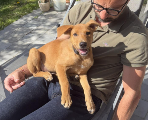 Milo le beau gosse 300 59000 Lille
