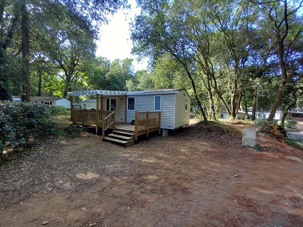  2023 occasion 44250 Saint-Brevin-les-Pins