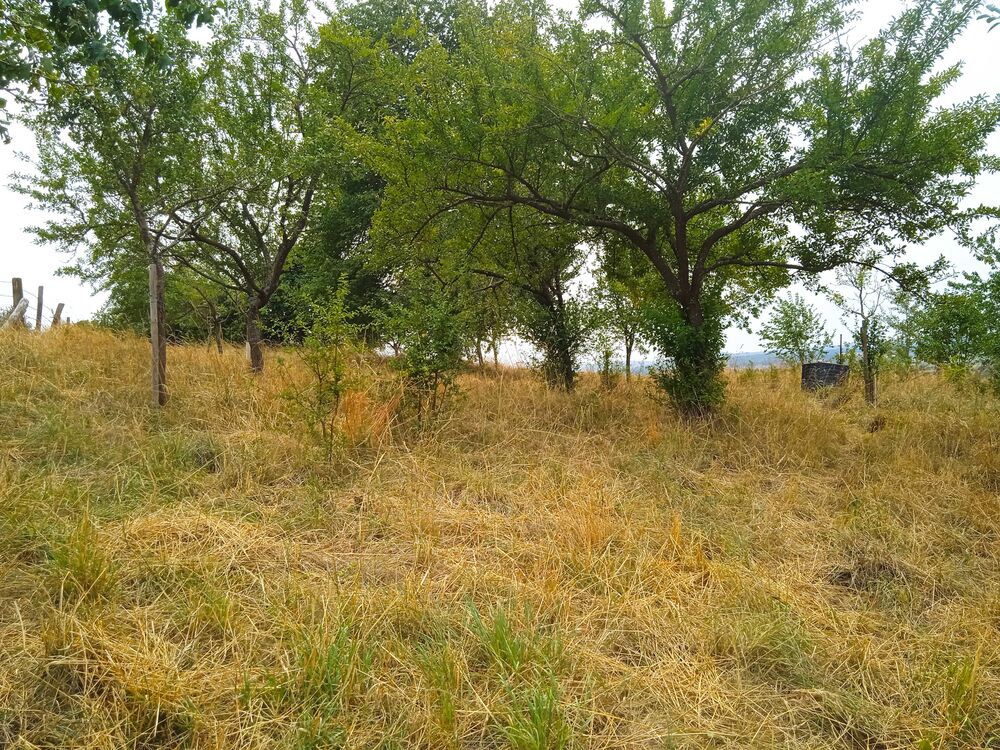 Vente Terrain verger Holling