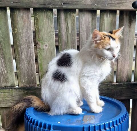 ✨️ P&Eacute;N&Eacute;LOPE ✨️ 190 95000 Cergy