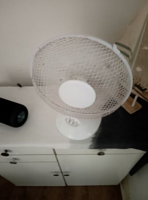 Ventilateur fonctionne bien Saumur (49)