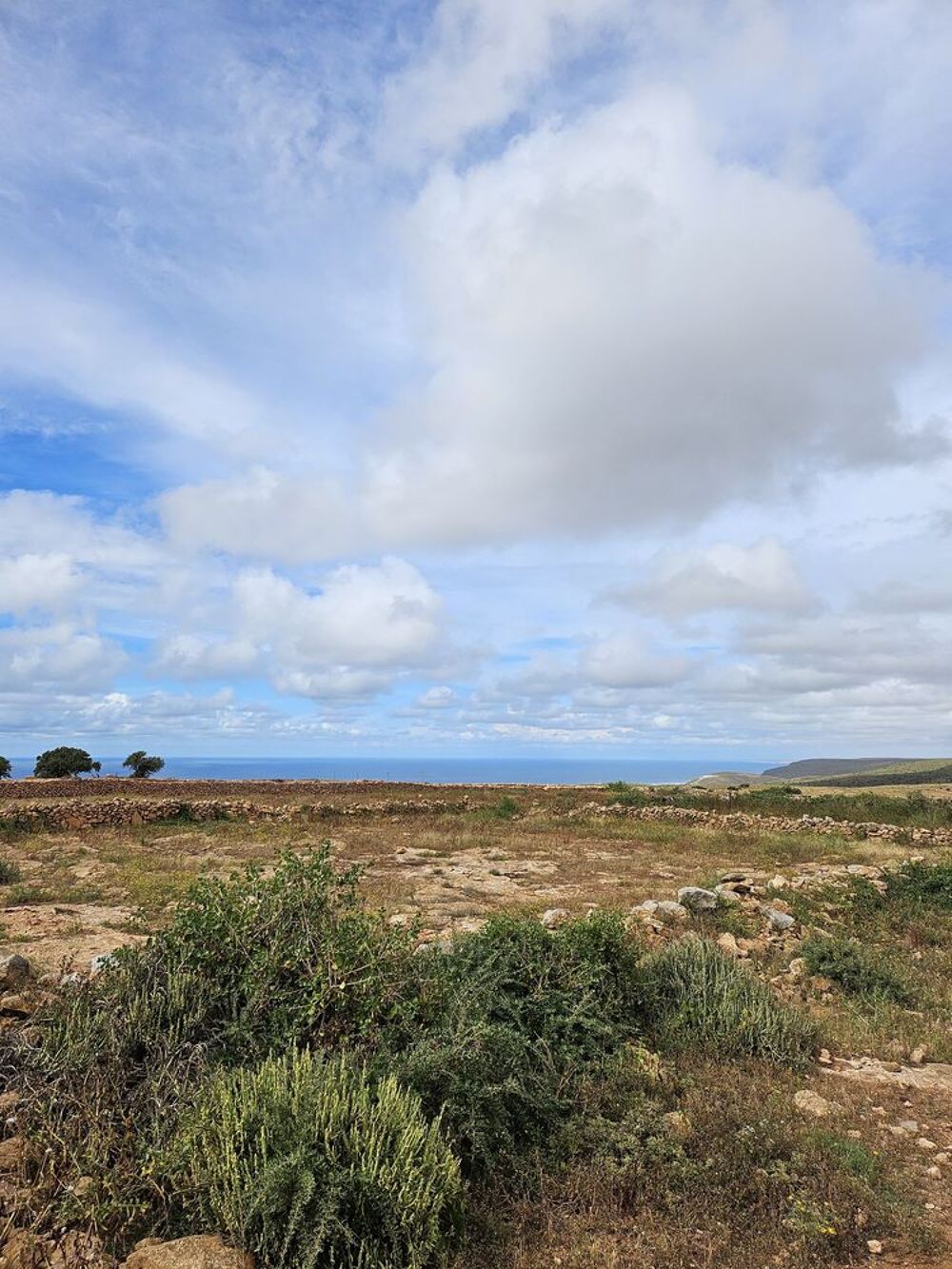 Vente Terrain Terrain titré Au maroc ? Tiznit, morocco (Maroc)