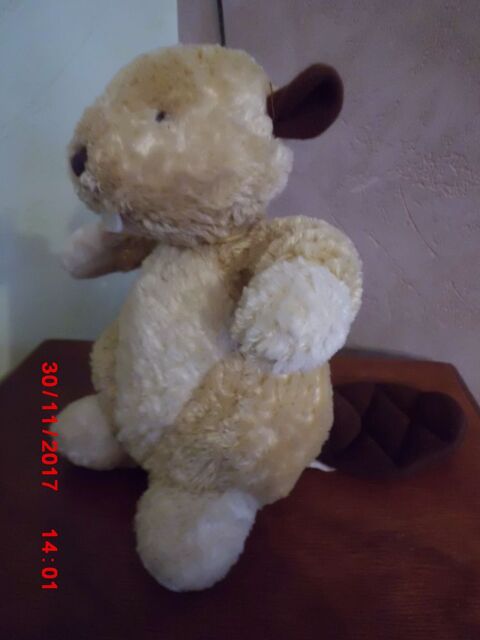 CASTOR BEIGE HAPPY HORSE 17 Oignies (62)