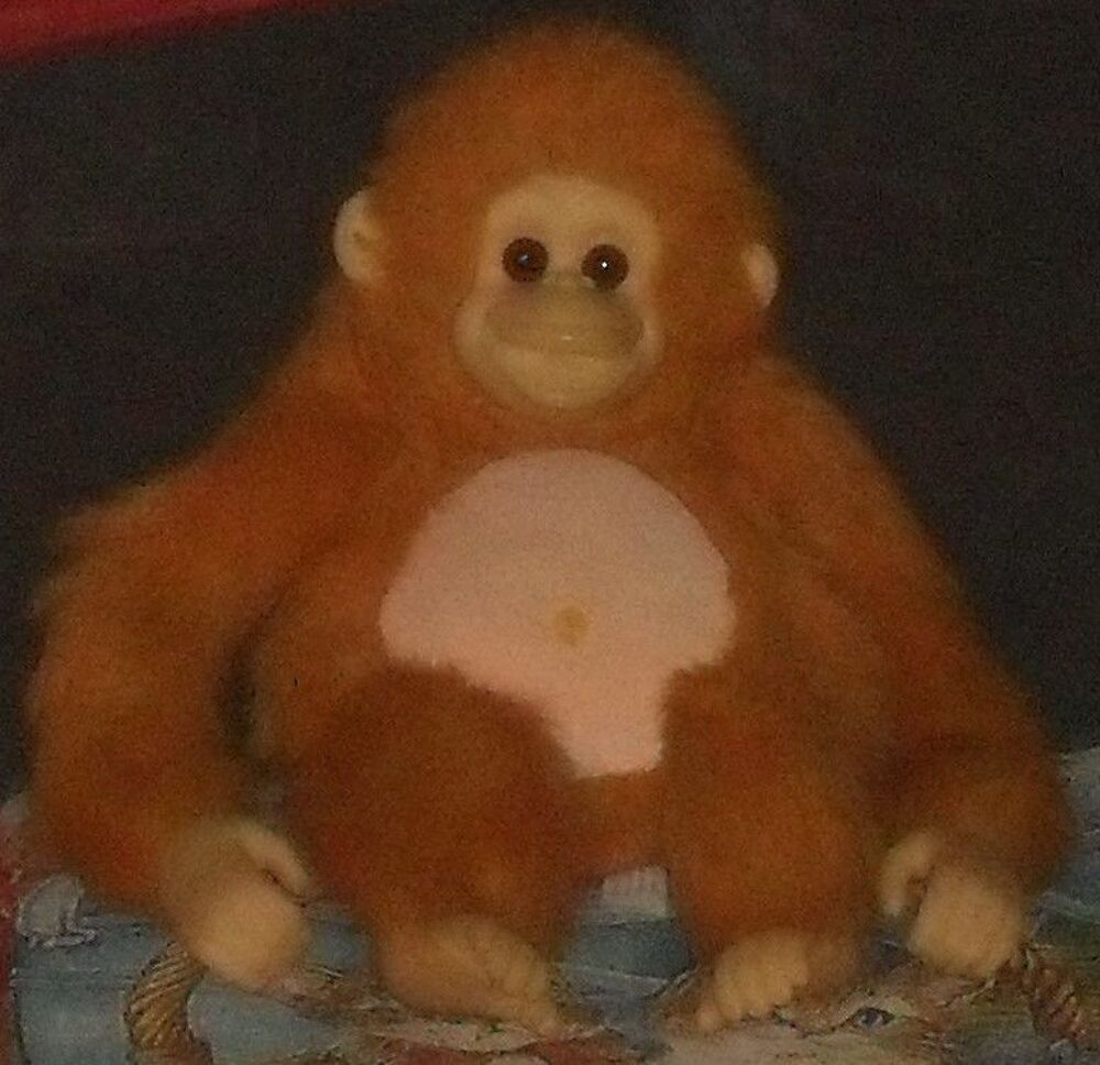Peluche Orang Outan 50cm Jeux / jouets