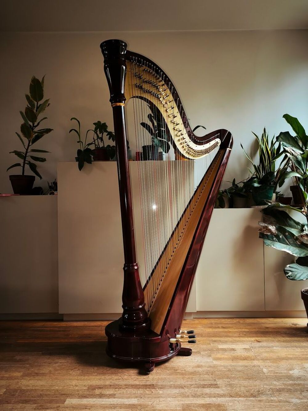 Harpe &agrave; p&eacute;dales 47 cordes Camac Ath&eacute;na TD Acajou Instruments de musique