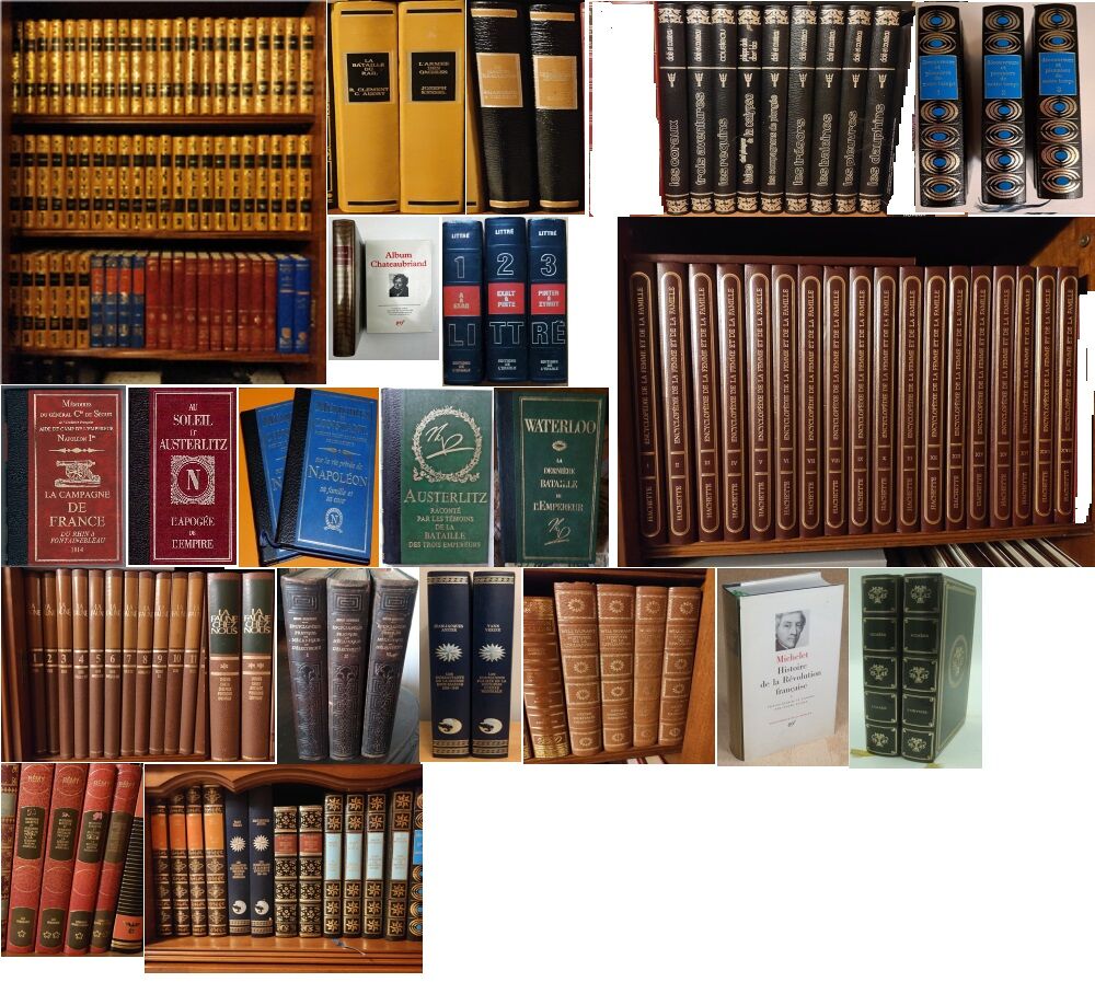 Gros lot de livres anciens Livres et BD