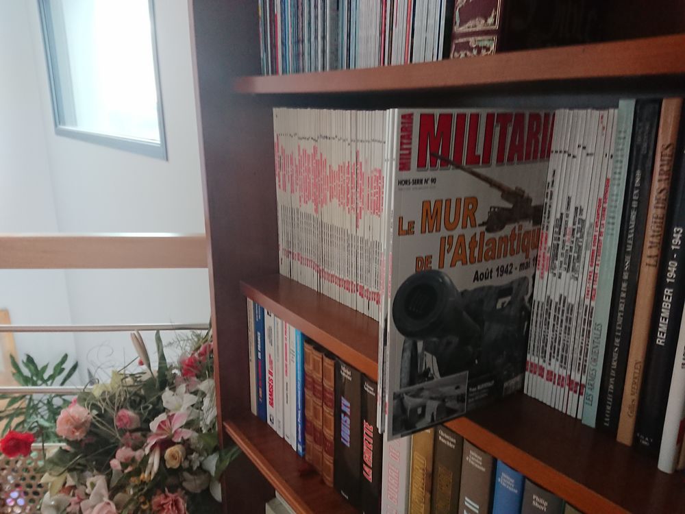 ARME MILITARIA HORS S&Eacute;RIE NUM&Eacute;RO 1&Agrave; 102 Livres et BD