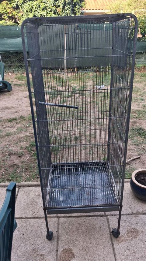 Cage oiseaux 50 Libourne (33)
