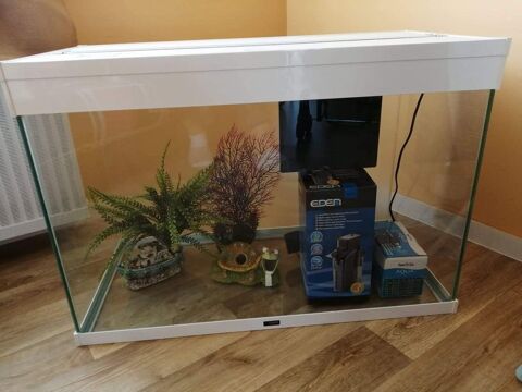 aquarium Avec trois pompes plus divers d�cors 100 Compi�gne (60)