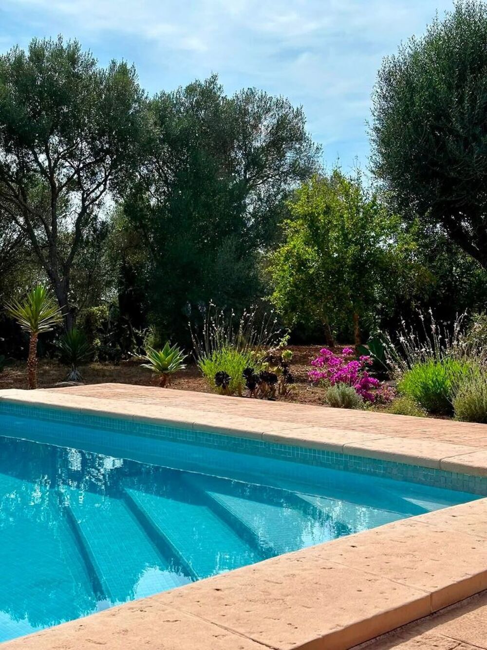 Location Villa Maison de Chsrme CASSIS Cassis