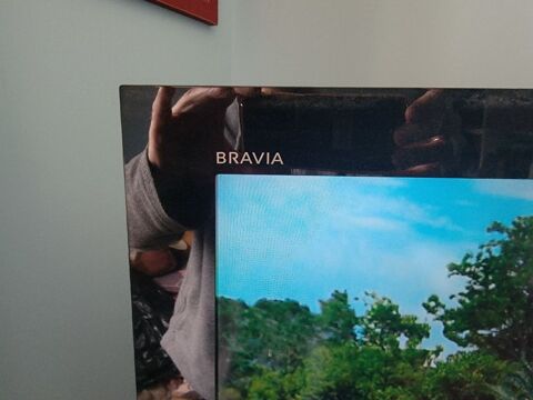 Tv 80 cm marque sonny Bravia 150 Pujaudran (32)