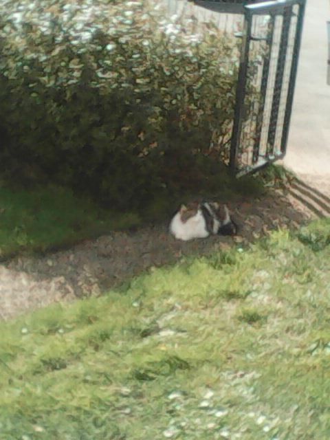 VOS TRAVAUX D ELECTRICITE PLOMBERIE 0 29400 Landivisiau