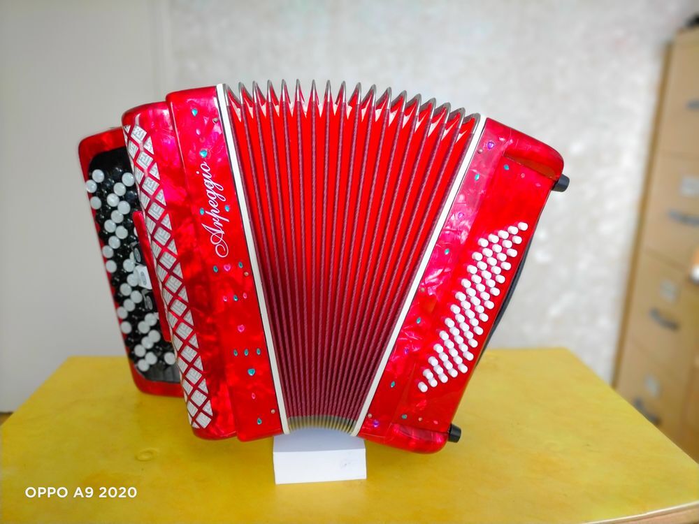 Accord&eacute;on pour jeune d&eacute;butant Instruments de musique