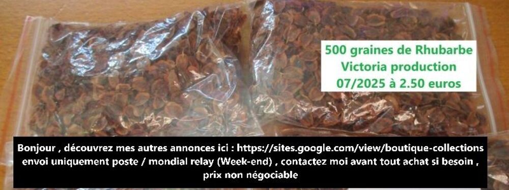 graines de Rhubarbe Victoria , quantit&eacute; sur demande , Jardin