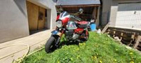  2024 occasion 65510 Loudenvielle
