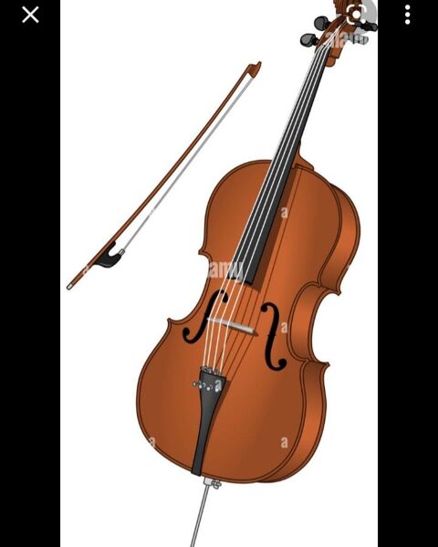 Vends violoncelle 1/2 + accordeur + système de blocage violoncelle sur Gens  de Confiance