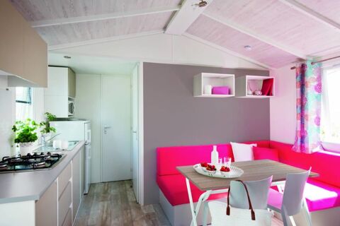 Mobil-Home Mobil-Home 2016 occasion Ch&acirc;teauneuf-sur-Loire 45110