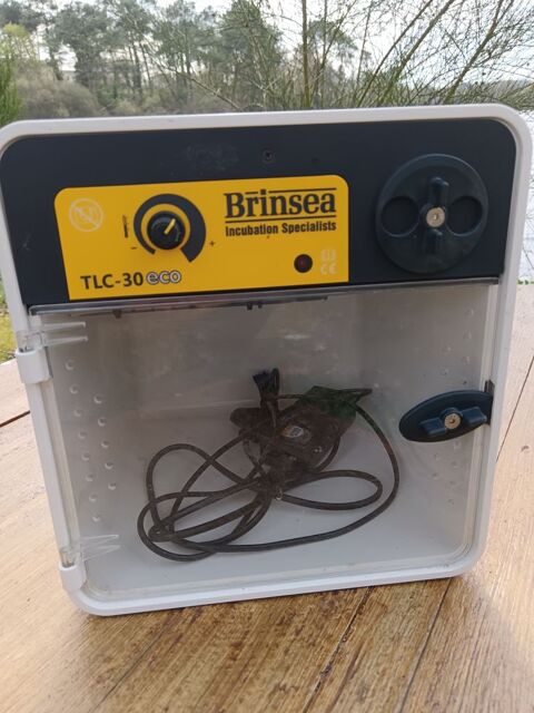 Eleveuse Brinsea TLC 30 neuve 280 35310 Bréal-sous-montfort