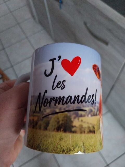 Mug humour vache j'aime les Normandes Saint-Loup-sur-Semouse (70)