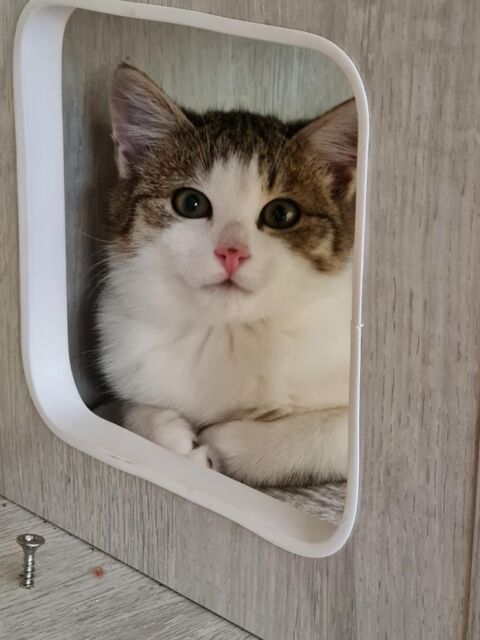 AKIKO 100 27640 Breuilpont