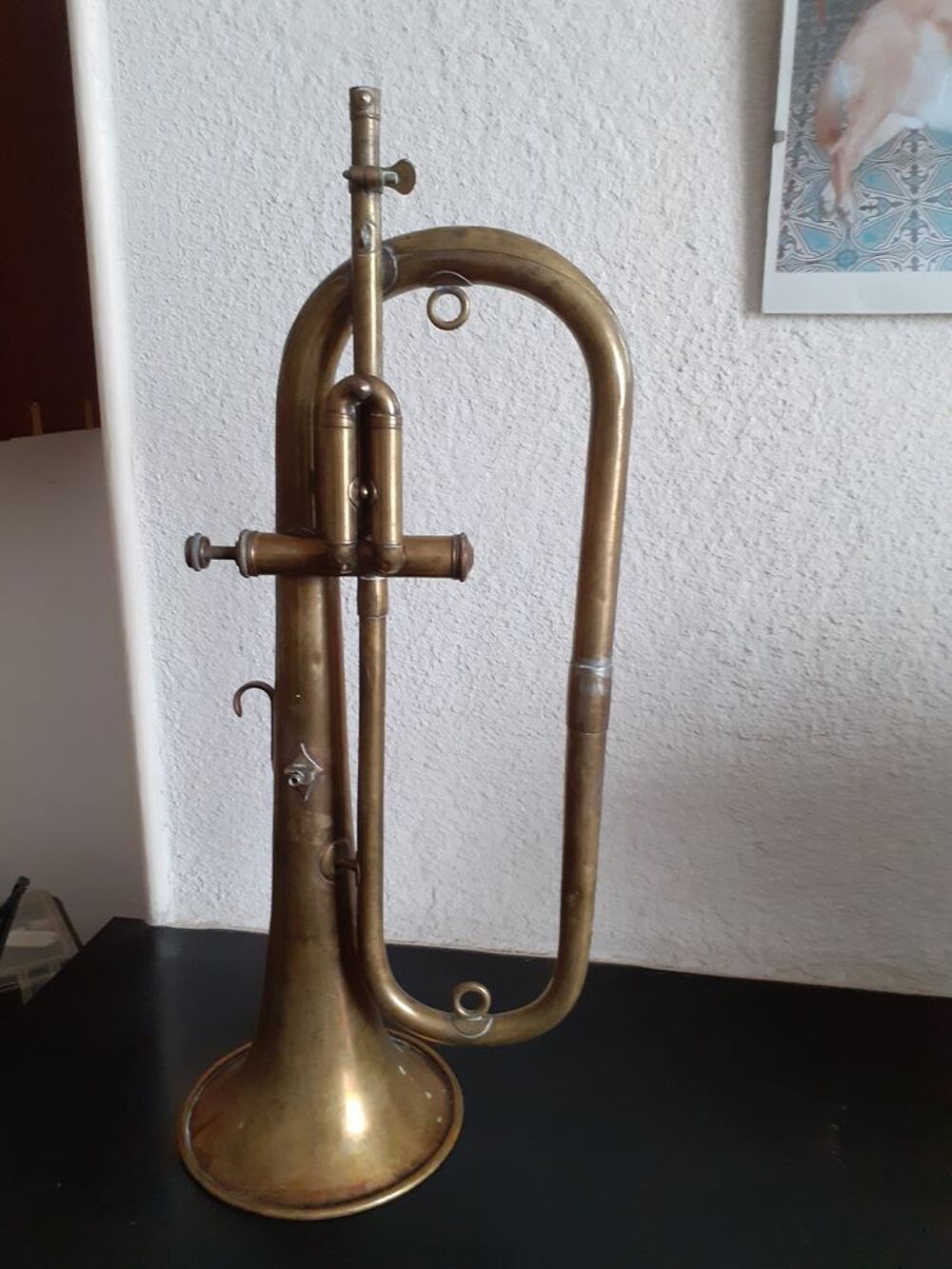 Clairon &agrave; 1piston Instruments de musique