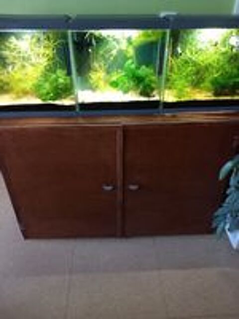   Aquarium  