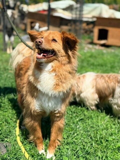 BABY petit crois&eacute; 5 ans 250 59000 Lille