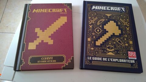 8€ Minecraft livres 0 Marignane (13)