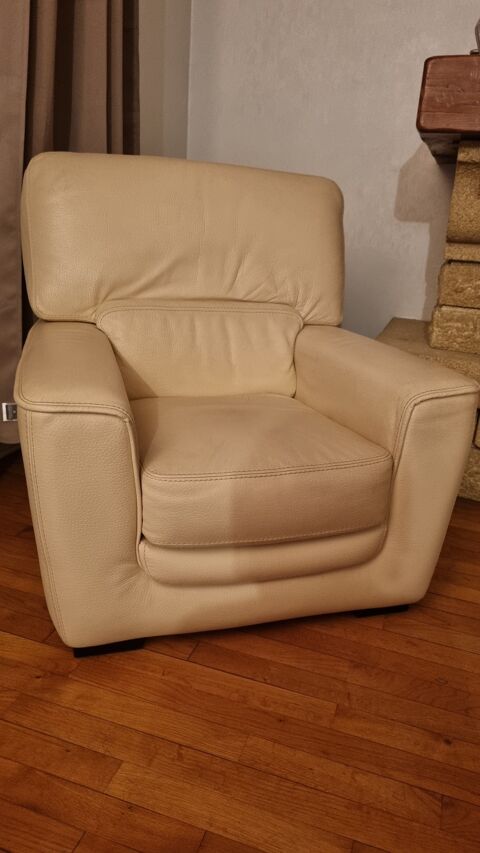 Fauteuil en cuir 80 Couzeix (87)