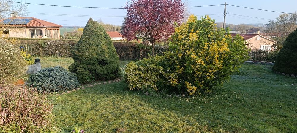 Vente Villa Villa100m2 + sous-sol 100m2 sur un terrain de 1750m2. Rignieux-le-franc