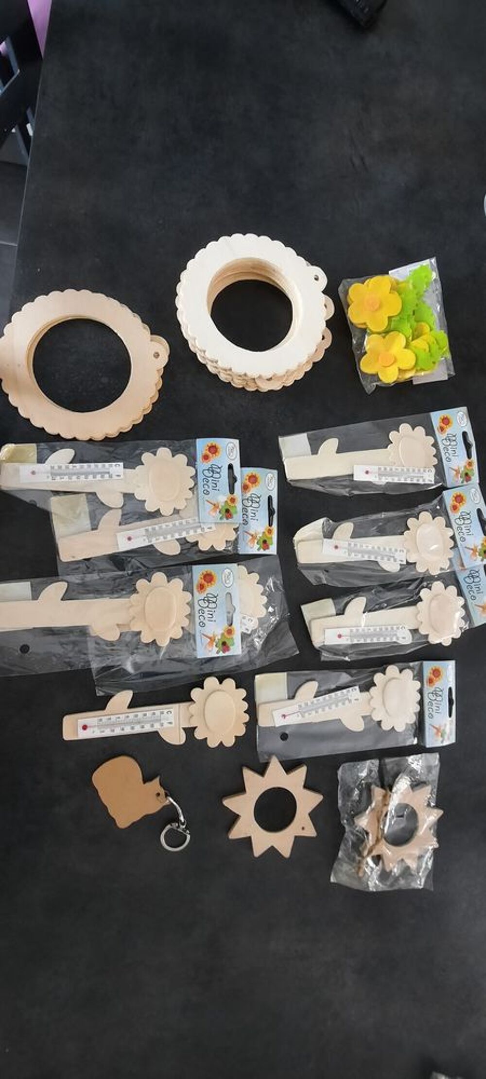 Lot d'objets en bois( 9 fleurs et thermom&egrave;tres), mini cadre Jeux / jouets