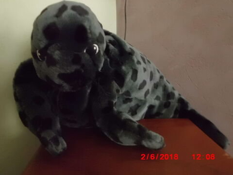 PHOQUE GRIS ET NOIR IKEA 19 Oignies (62)