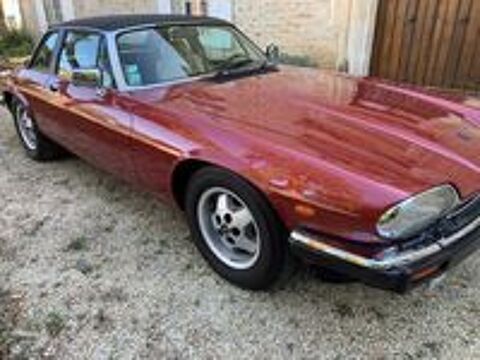   occasion 86000 Poitiers